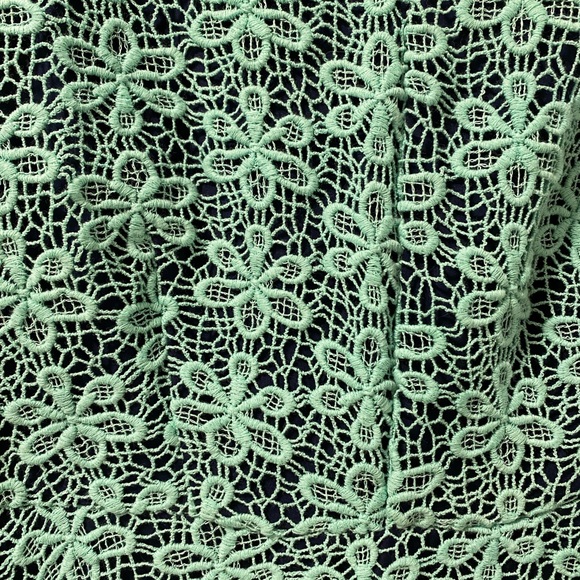 Lace Dress - Picture 2 of 2